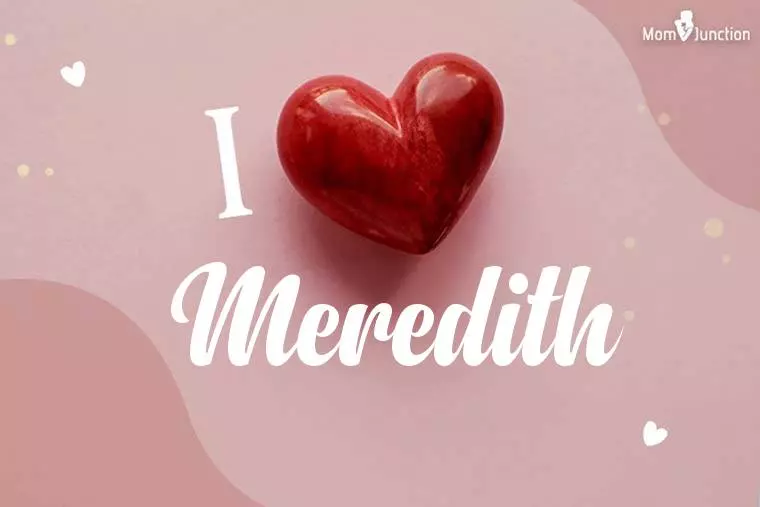 I Love Meredith Wallpaper