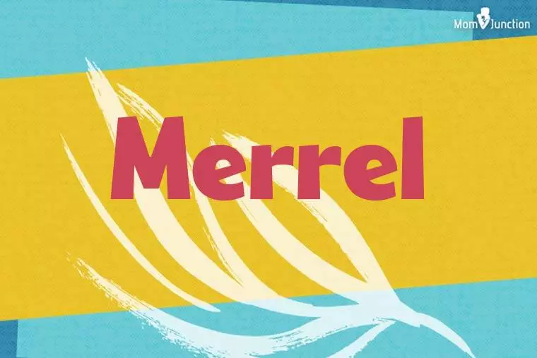 Merrel Stylish Wallpaper