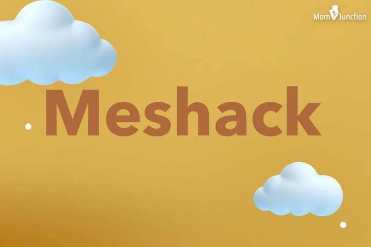 Meshack 3D Wallpaper