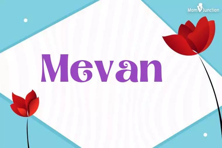 Mevan 3D Wallpaper