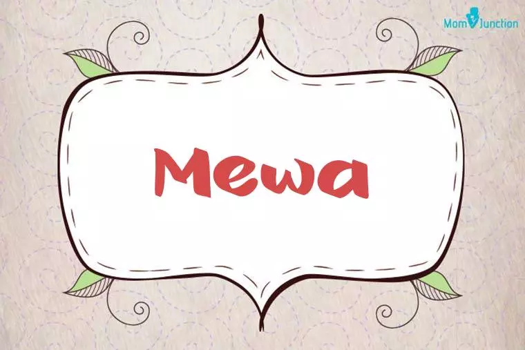 Mewa Stylish Wallpaper