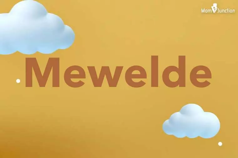 Mewelde 3D Wallpaper