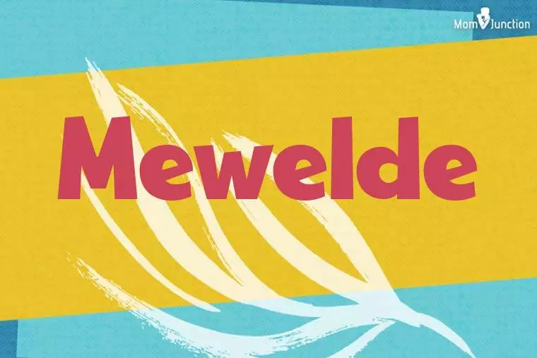 Mewelde Stylish Wallpaper