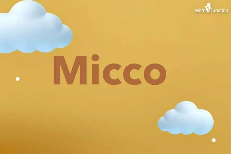 Micco 3D Wallpaper