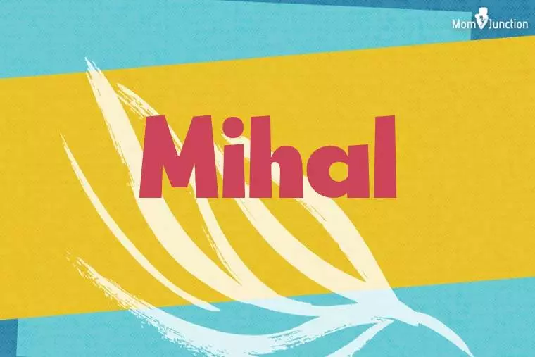 Mihal Stylish Wallpaper