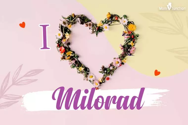 I Love Milorad Wallpaper