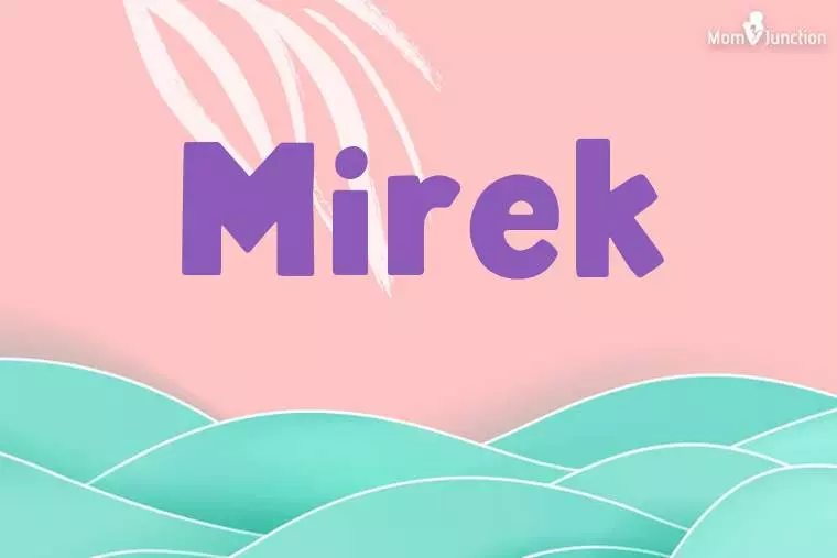 Mirek Stylish Wallpaper