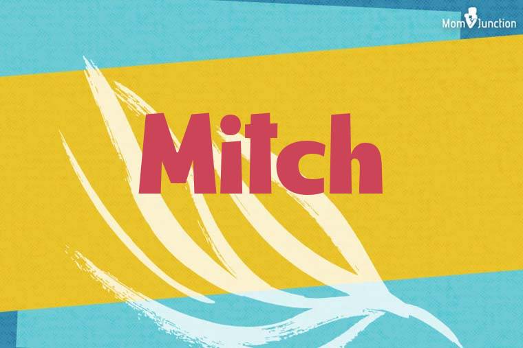 Mitch Stylish Wallpaper