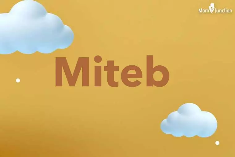 Miteb 3D Wallpaper