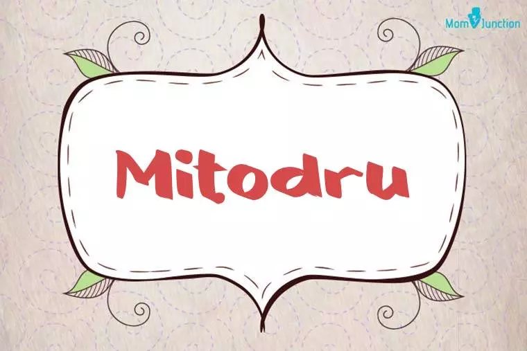 Mitodru Stylish Wallpaper