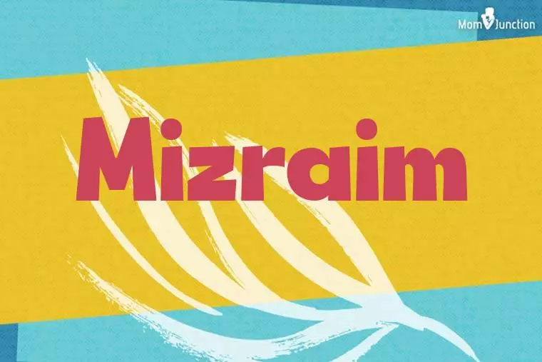 Mizraim Stylish Wallpaper