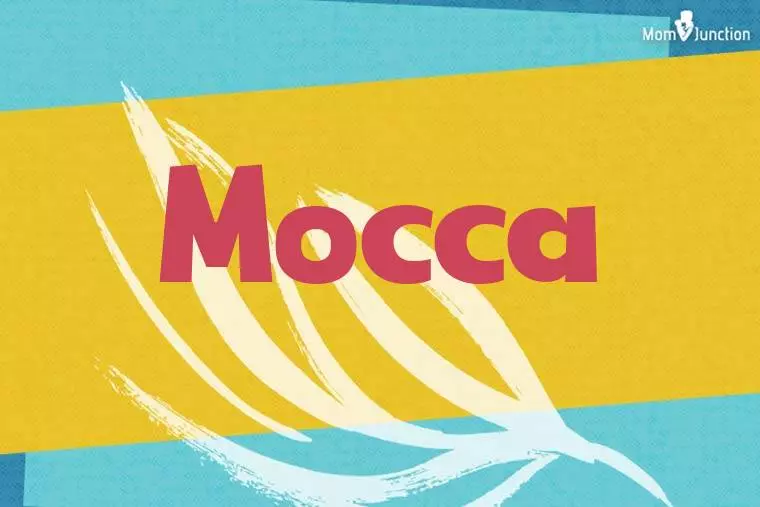 Mocca Stylish Wallpaper