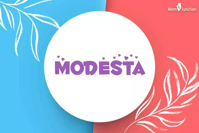 Modesta Stylish Wallpaper