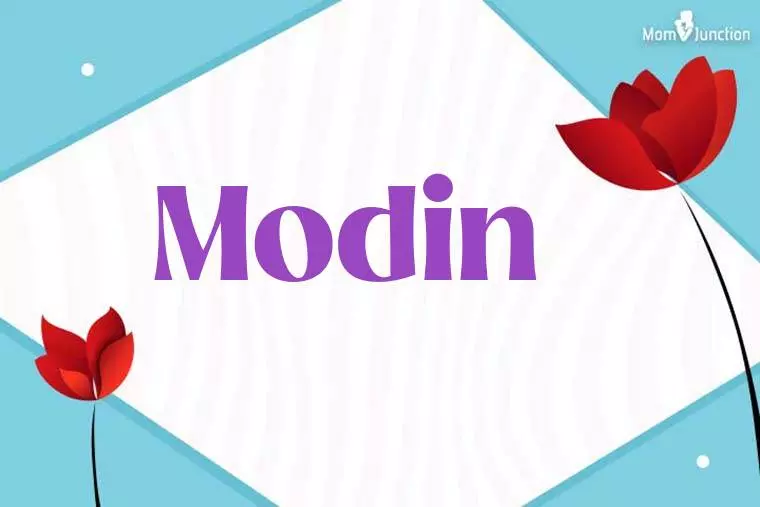 Modin 3D Wallpaper