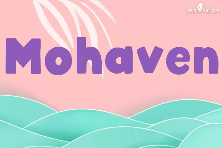 Mohaven Stylish Wallpaper