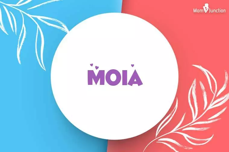 Moia Stylish Wallpaper