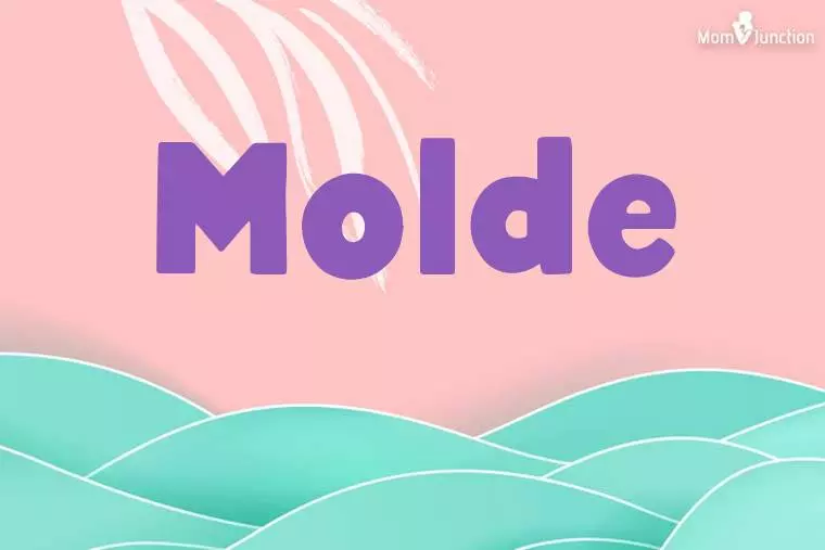 Molde Stylish Wallpaper