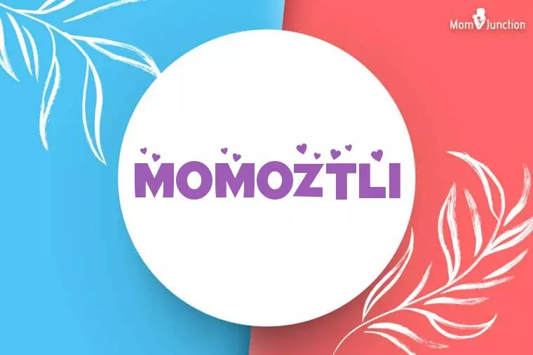 Momoztli Stylish Wallpaper