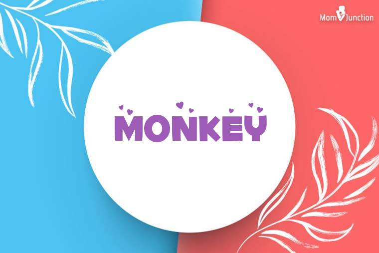 Monkey Stylish Wallpaper