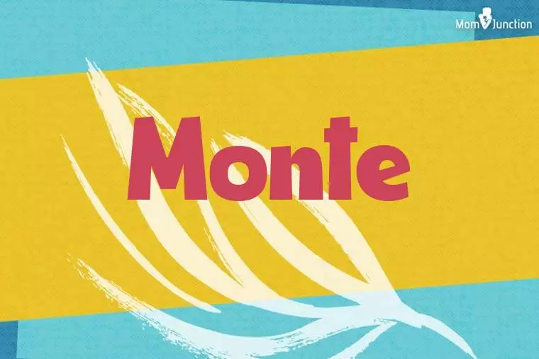 Monte Stylish Wallpaper