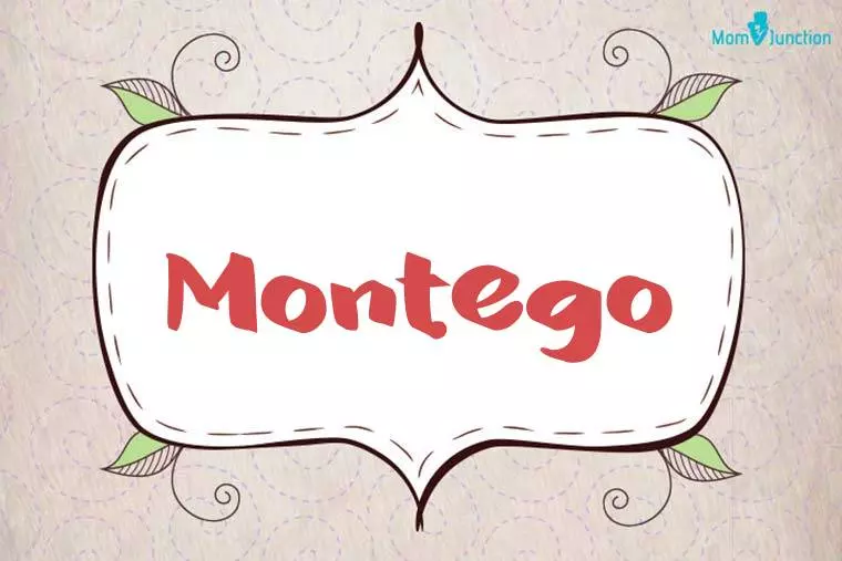 Montego Stylish Wallpaper