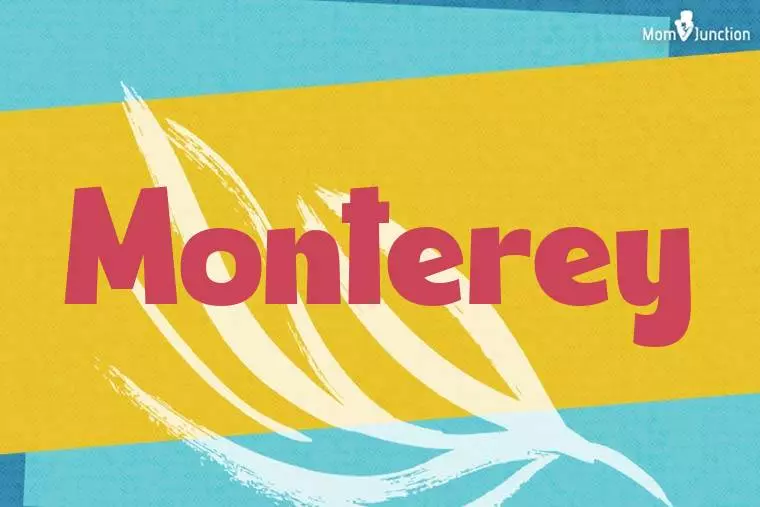 Monterey Stylish Wallpaper