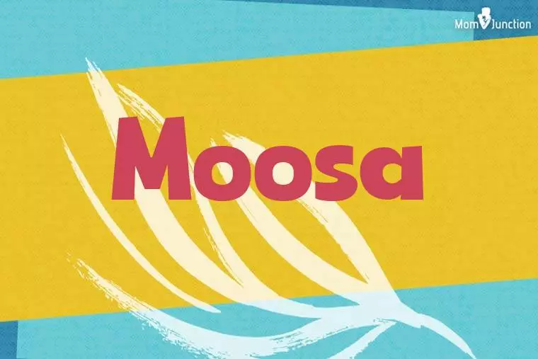 Moosa Stylish Wallpaper