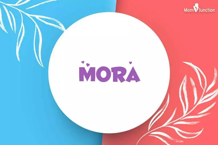 Mora Stylish Wallpaper