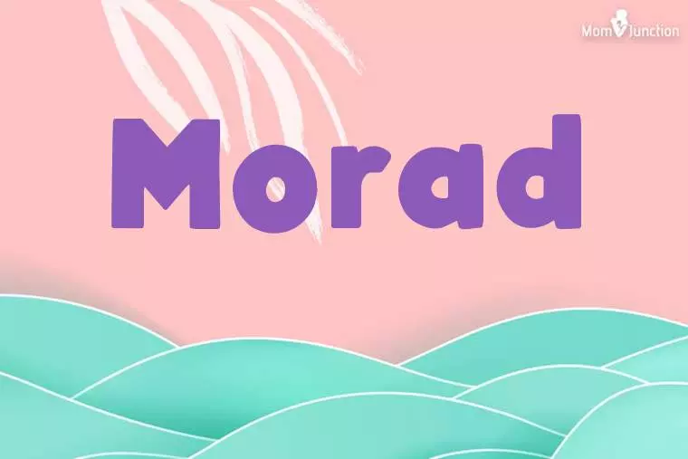 Morad Stylish Wallpaper