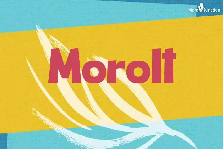 Morolt Stylish Wallpaper