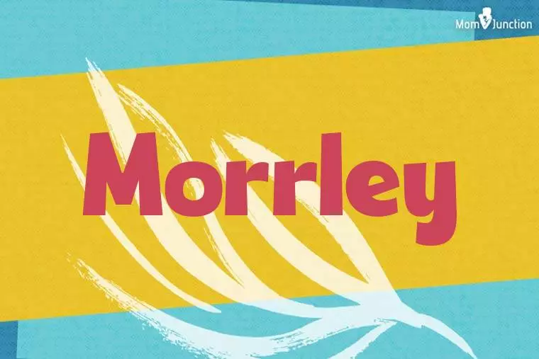 Morrley Stylish Wallpaper