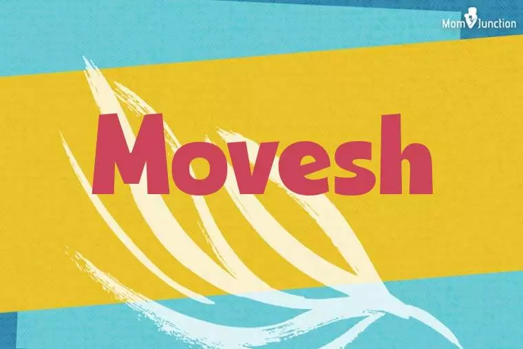 Movesh Stylish Wallpaper