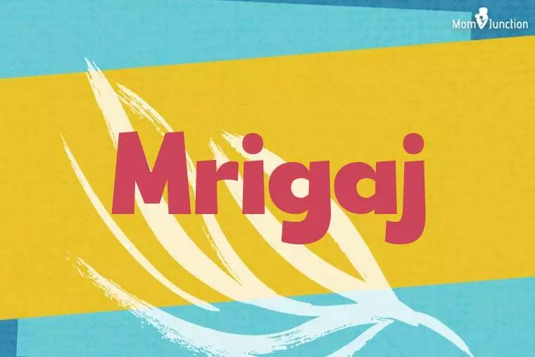 Mrigaj Stylish Wallpaper