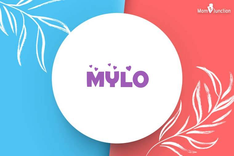 Mylo Stylish Wallpaper