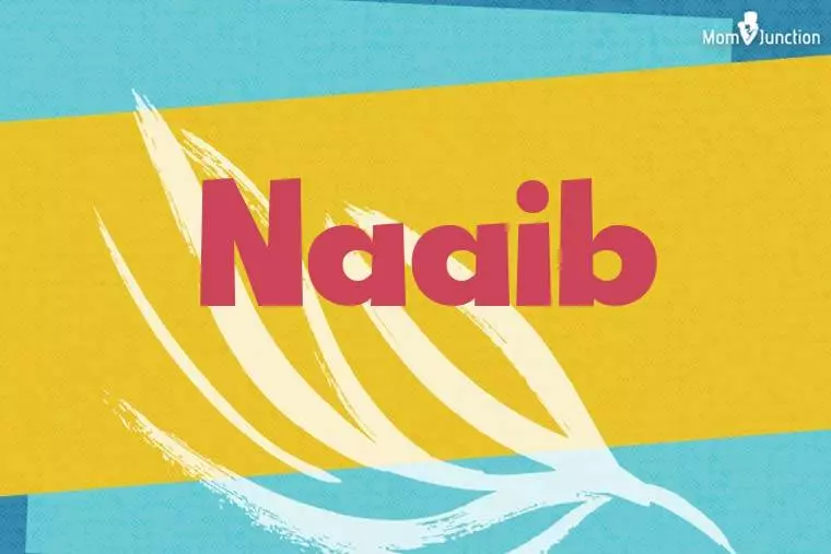 Naaib Stylish Wallpaper