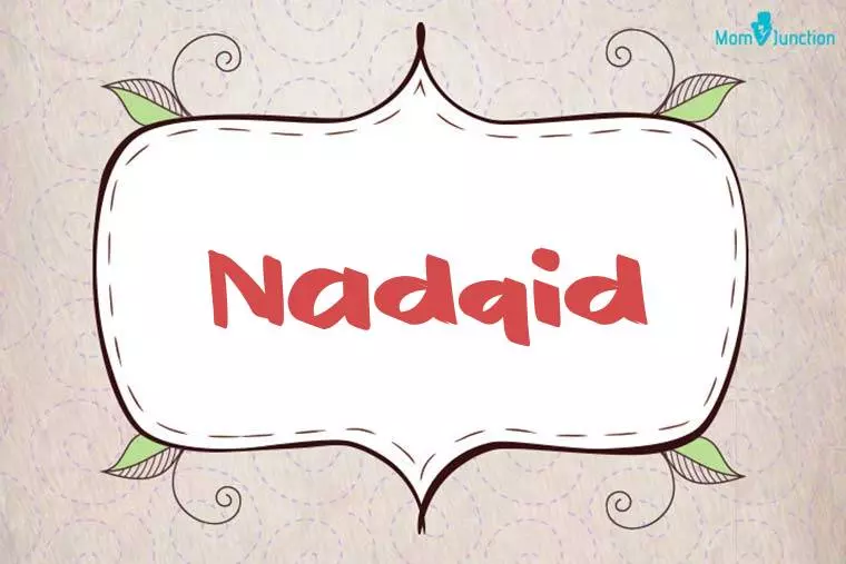 Nadqid Stylish Wallpaper