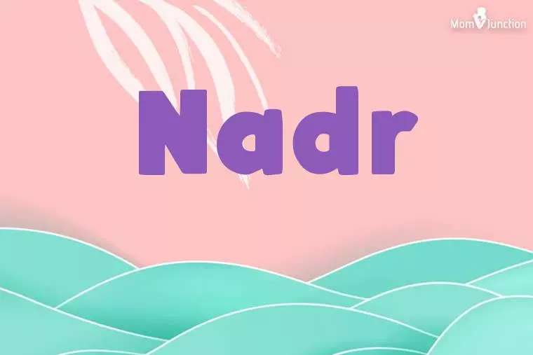 Nadr Stylish Wallpaper