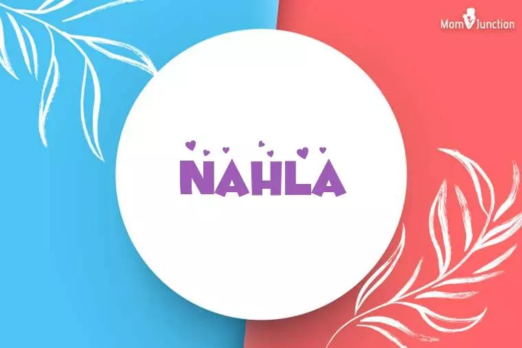 Nahla Stylish Wallpaper