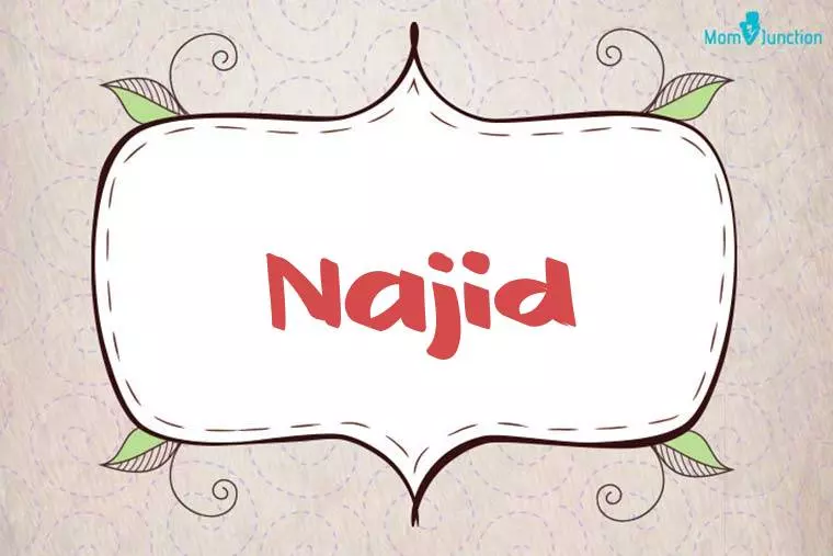 Najid Stylish Wallpaper