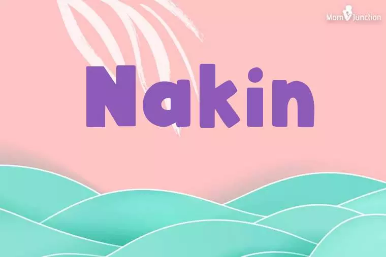 Nakin Stylish Wallpaper