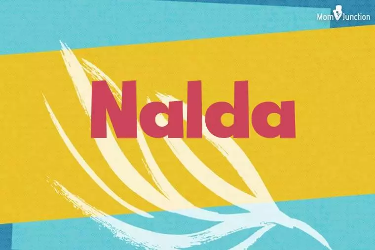 Nalda Stylish Wallpaper