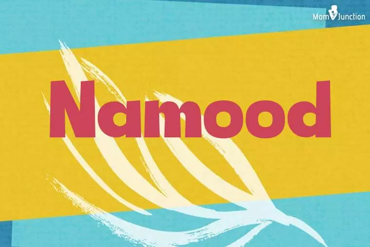 Namood Stylish Wallpaper