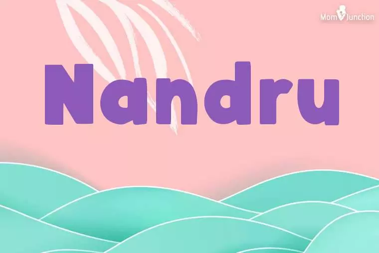 Nandru Stylish Wallpaper