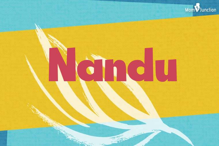 Nandu Stylish Wallpaper