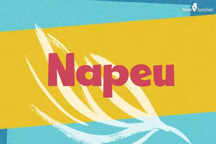 Napeu Stylish Wallpaper