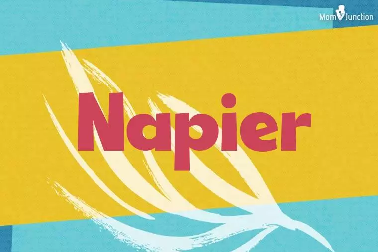 Napier Stylish Wallpaper