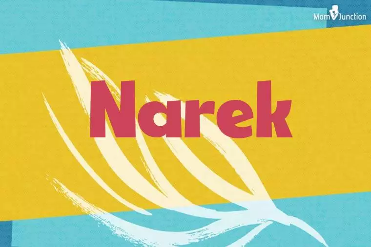 Narek Stylish Wallpaper