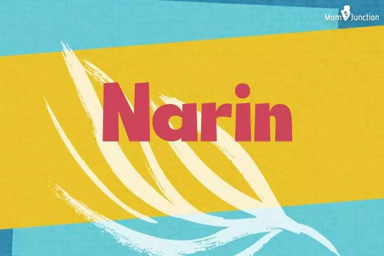 Narin Stylish Wallpaper