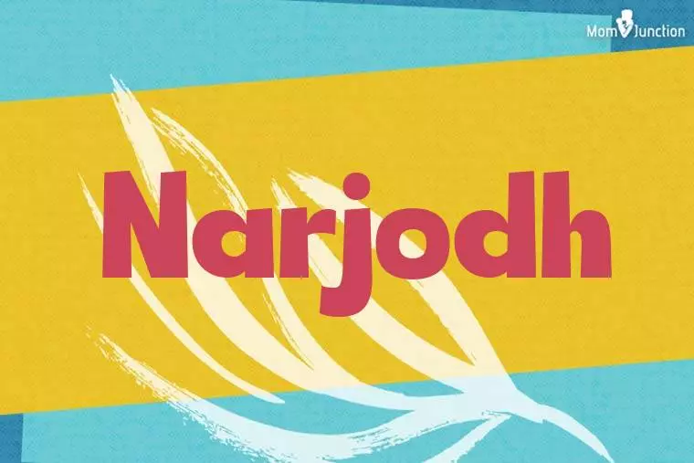 Narjodh Stylish Wallpaper