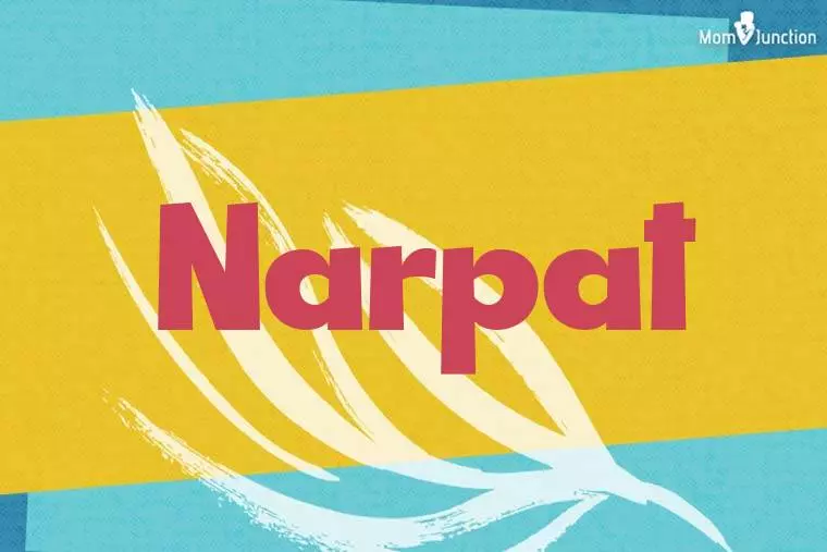 Narpat Stylish Wallpaper